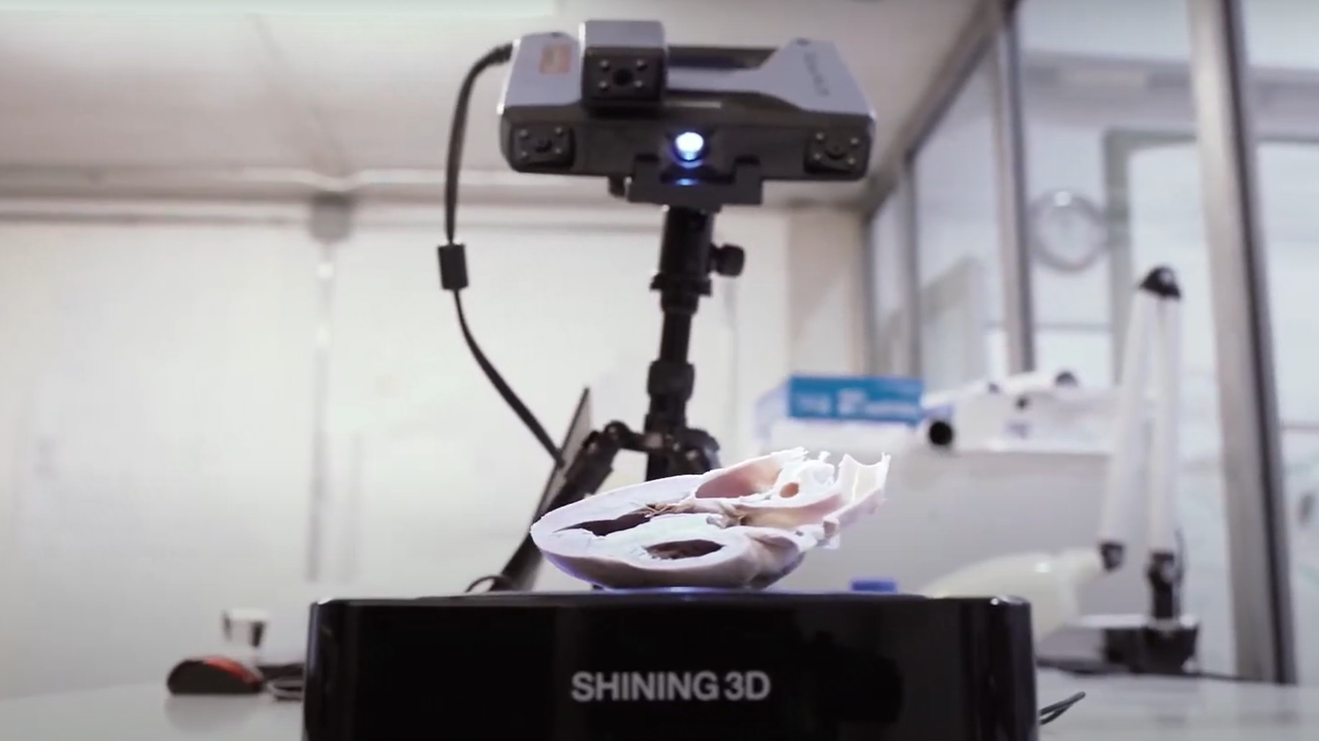 Scan a heart model with EinScan Pro HD